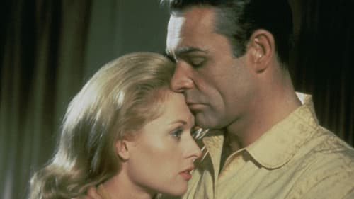 Mr. Kingstreet's War Bild 1