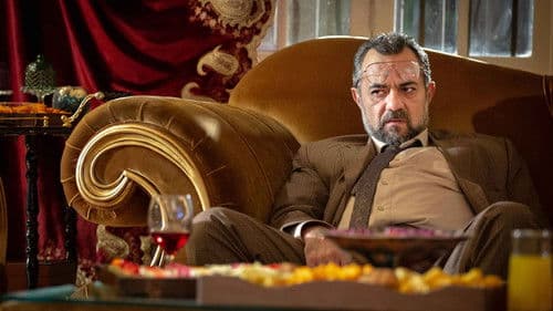 حرفه‌ای Bild 2