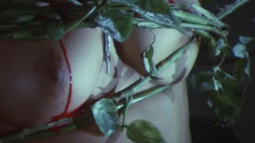 School of the Holy Beast Bild 7