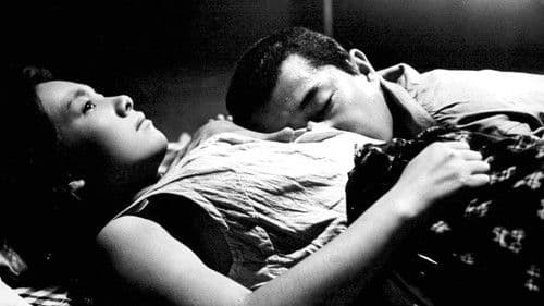 Das Insektenweib Bild 8