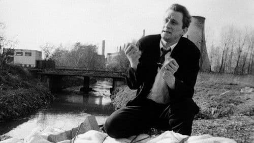 Mann beißt Hund Bild 7