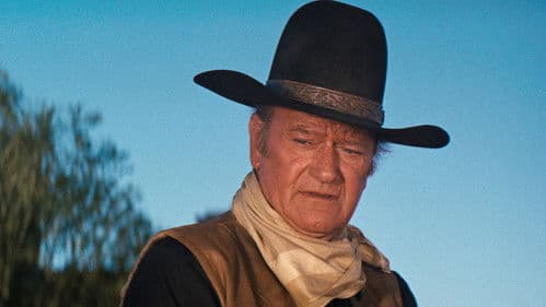 Geier kennen kein Erbarmen Bild 4