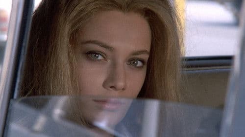 Tutto a posto e niente in ordine Bild 1