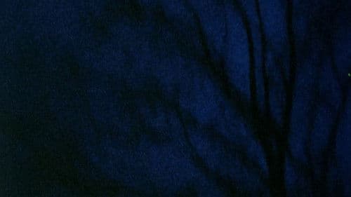 Anticipation of the Night Bild 3