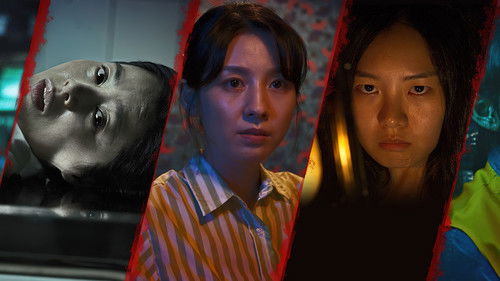 미드나잇 호러: 6개의 밤 Bild 1