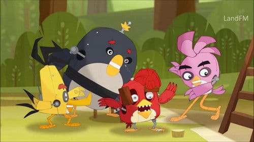 Angry Birds: Verrückter Sommer Bild 8