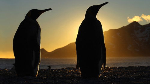 Eisige Welten Bild 2