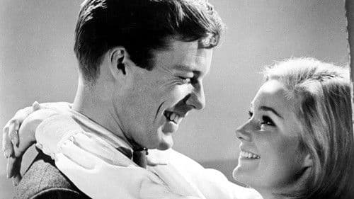 Joy in the Morning Bild 4