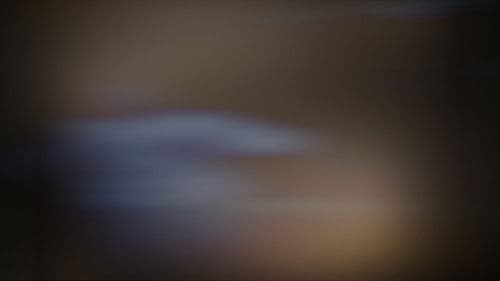 Girassol sem Sol Bild 1