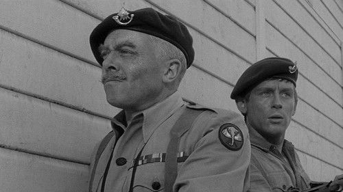 Schüsse in Batasi Bild 4