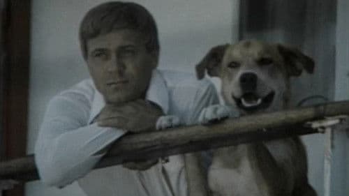 Соленый пес Bild 1