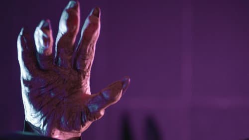 Stolen Signals Bild 1