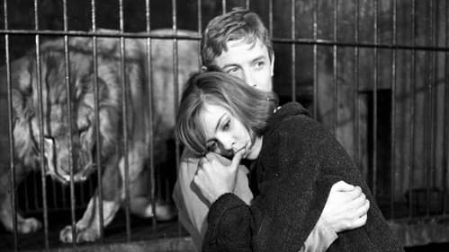 Liebe mit zwanzig Bild 8