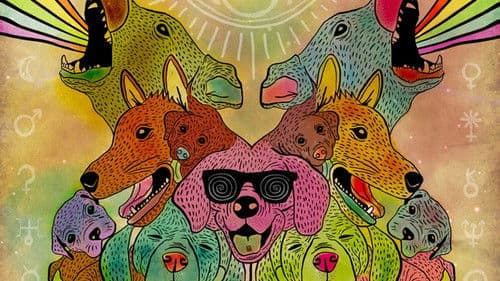 Doggiewoggiez! Poochiewoochiez! Bild 2