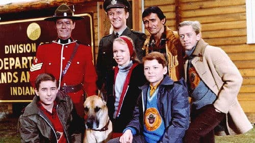 The Forest Rangers Bild 1