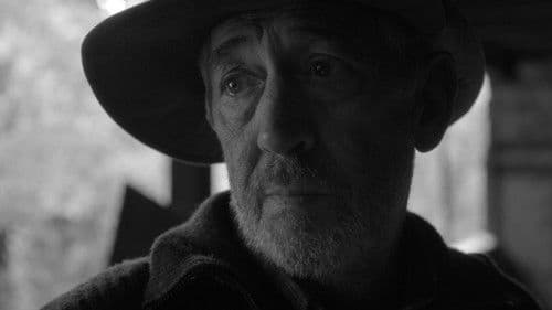 Живи комини Bild 2