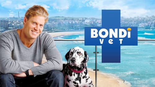 Bondi Vet Bild 1