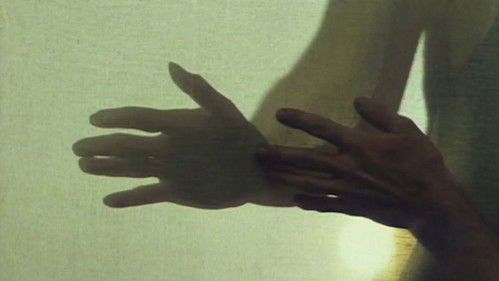 Weht die Angst, so weht der Wind Bild 1