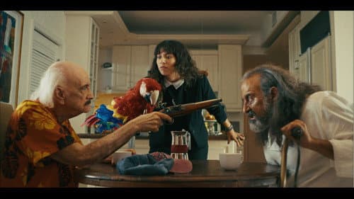 El Viejo y La Cotorra Bild 1