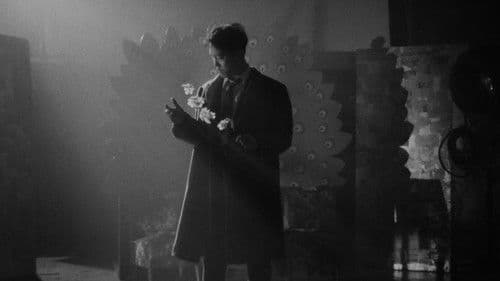 夢みるように眠りたい Bild 3