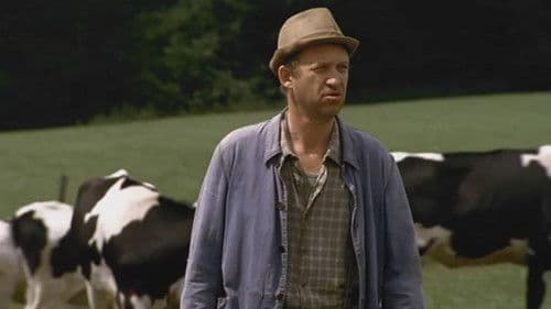 Neues aus Büttenwarder Bild 4