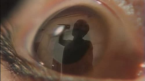 快楽殺人女捜査官　囮 Bild 1