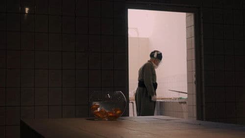 تاقیگەی ژمارە 2 Bild 1