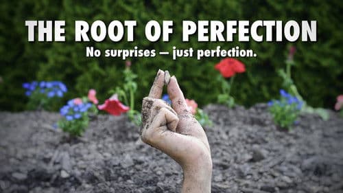 The Root of Perfection Bild 1