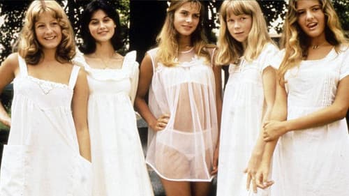 Leidenschaftliche Blümchen Bild 1