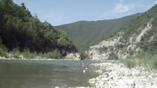 Notes on Summer Bild 2