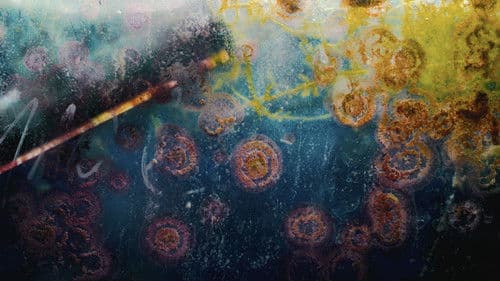 Onderstroom - 暗流 Bild 3