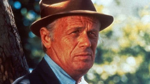 Sergeant Madigan Bild 2