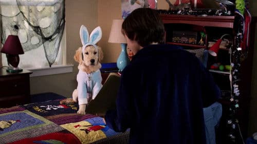 Spooky Buddies - Der Fluch des Hallowuff-Hunds Bild 4