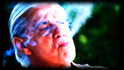 Dizem que os cães veem coisas Bild 5