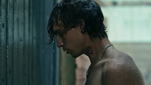 Searching for the Elephant Bild 1