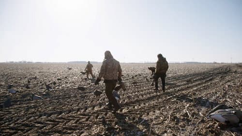 Giiwe: Returning Home Bild 2