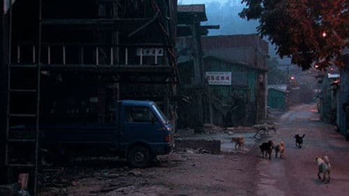 A Última Vez Que Vi Macau Bild 7