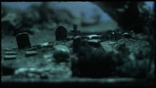 Dog Day - Rome Bild 3