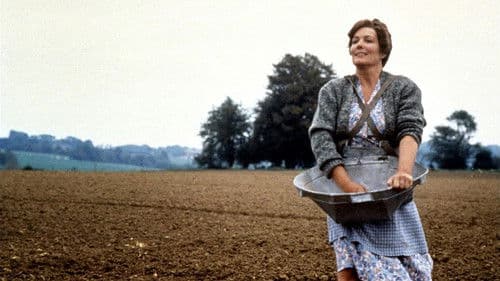 Antonias Welt Bild 1