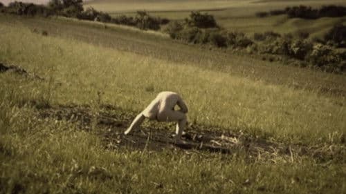 Debris Documentar Bild 1