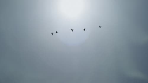 A Place to Hide Bild 1