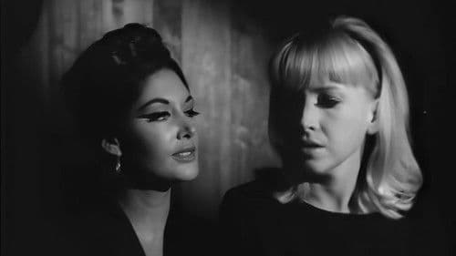 The Sex Cycle Bild 1