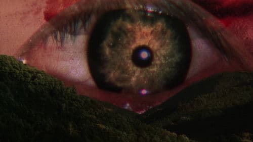 Rhapsodie im August Bild 4