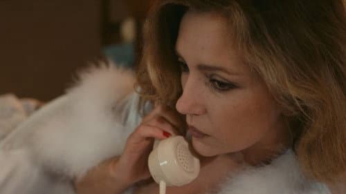 Hühnchen in Essig Bild 7