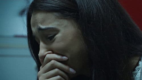 Our Lady of Lourdes Bild 8