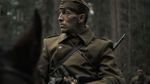 Das Licht in den Birkenwäldern Bild 6