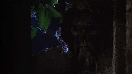 Die Nacht der reitenden Leichen Bild 5