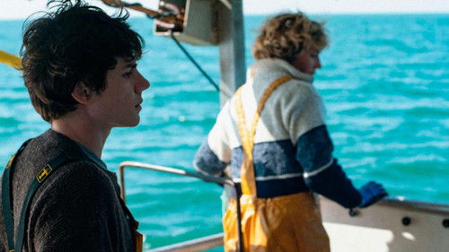 Wild wie das Meer Bild 3