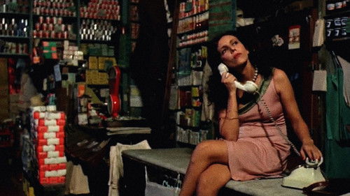 Os Sete Gatinhos Bild 3