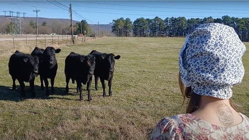 Little Bo Creep Bild 1